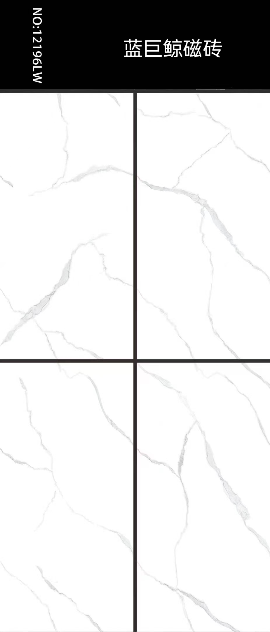 12196